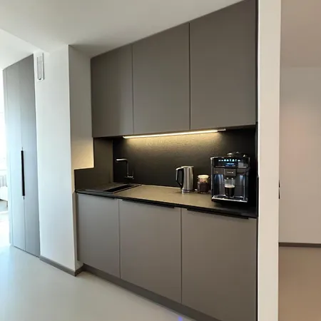 Lakeview Design Apartment